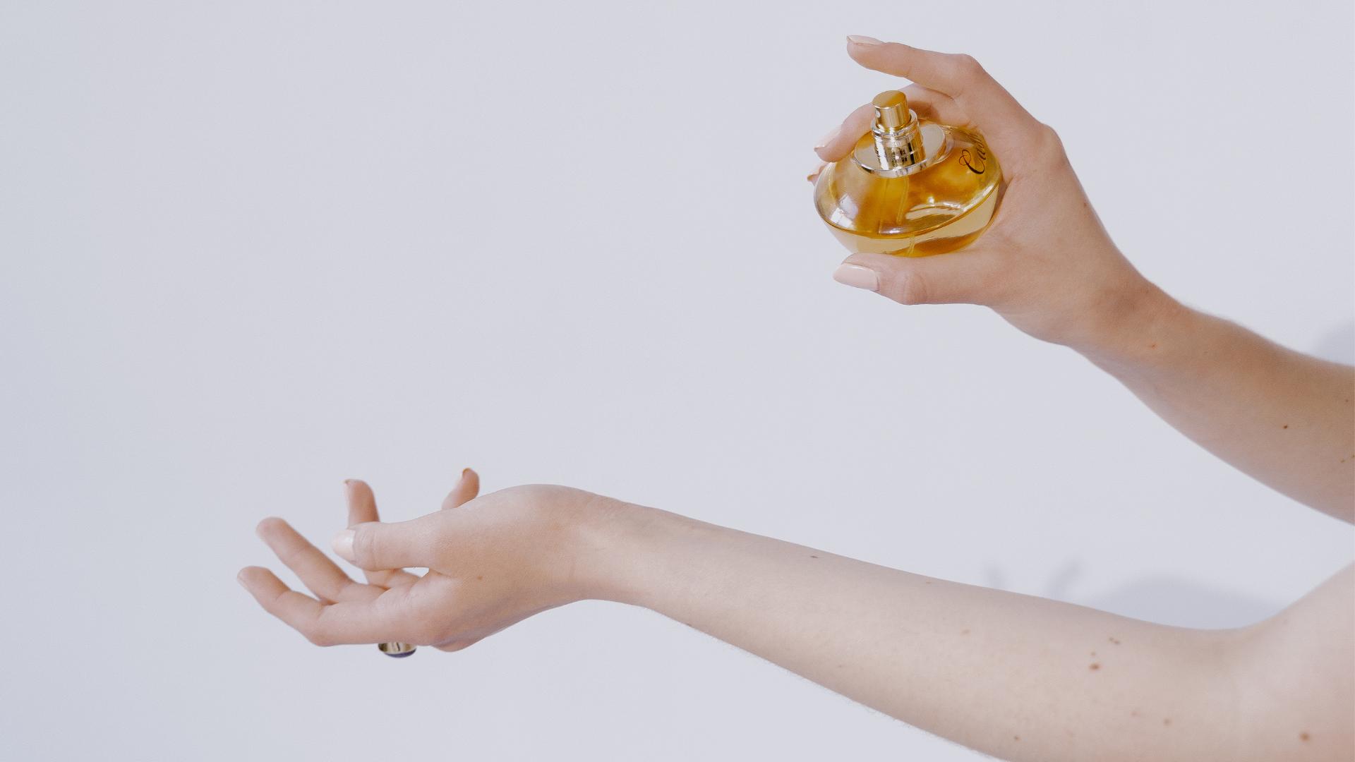 Der perfekte Duft - Welches Parfum passt wann?